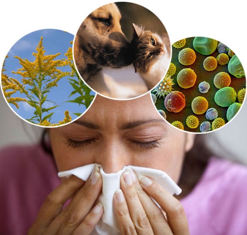 Аллергия и контактные линзы